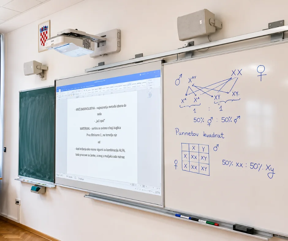 Pametna ploča s projektorom u učionici